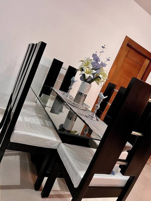 Apartament Outstanding Pent House W/Jacuzzi Santiago De Los Caballeros Zewnętrze zdjęcie